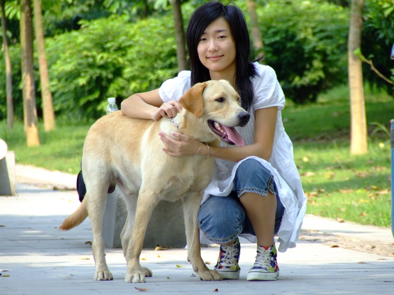 风中的绿叶的第一张照片--衡阳相亲服务中心