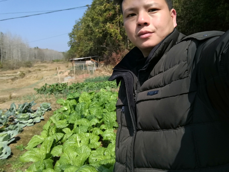 倔强的驴的第一张照片--衡阳相亲服务中心