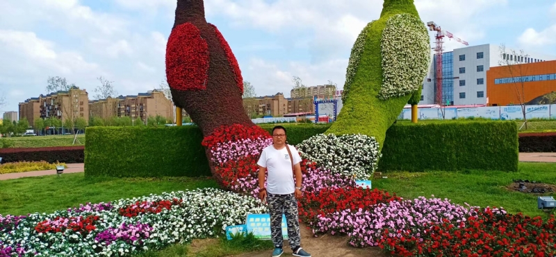 尘埃的第一张照片--衡阳相亲服务中心