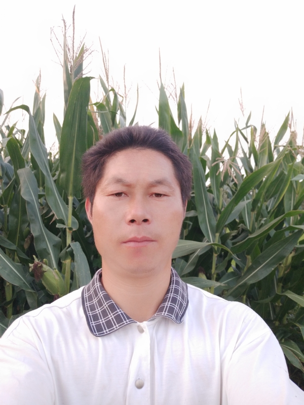 四海游龙的第一张照片--衡阳相亲服务中心