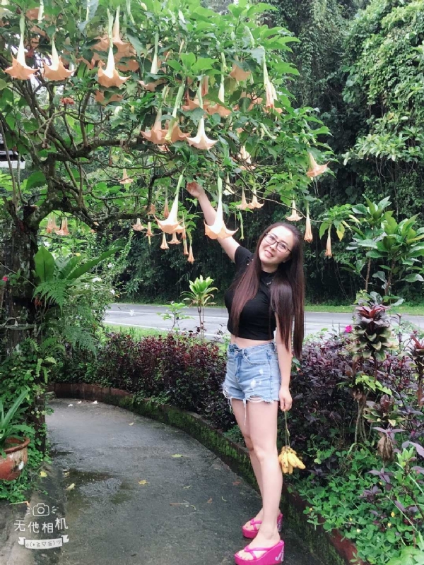 离异单身无子的第二张照片--衡阳相亲服务中心