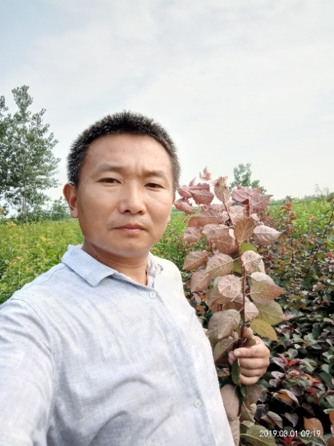 孩子爸的第二张照片--衡阳相亲服务中心