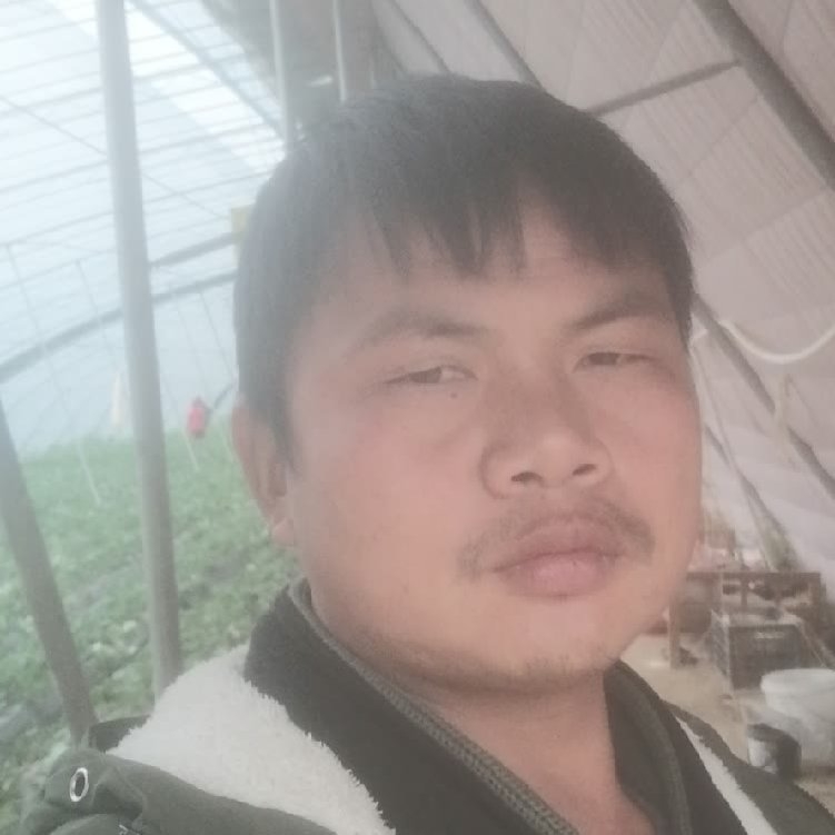 孤狼‘的第一张照片--衡阳相亲服务中心