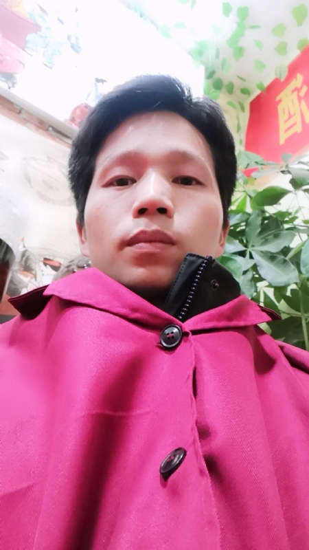 单身的林凡的第一张照片--衡阳相亲服务中心