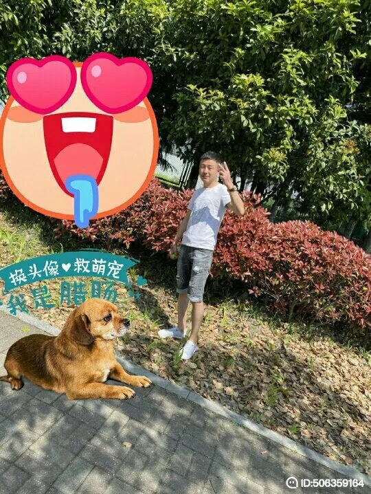 我若不坚强谁替我勇敢的第五张照片--衡阳相亲服务中心