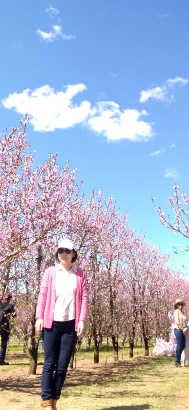 Grace的第二张照片--衡阳相亲服务中心