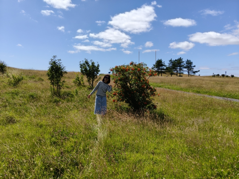 秋蝉的第一张照片--衡阳相亲服务中心