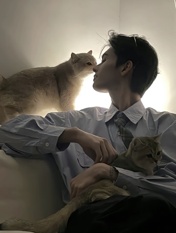 怪猫的第一张照片--衡阳相亲服务中心