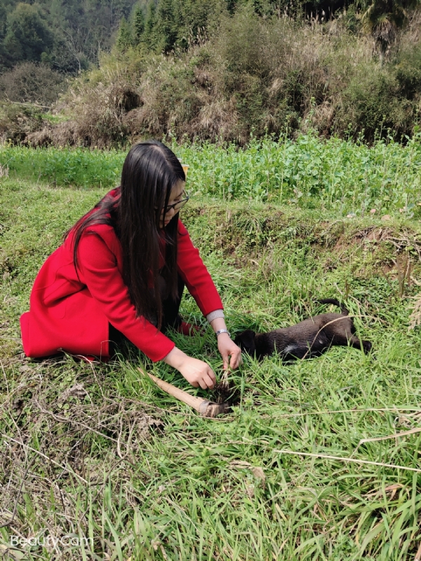下一个春和秋的第一张照片--衡阳相亲服务中心