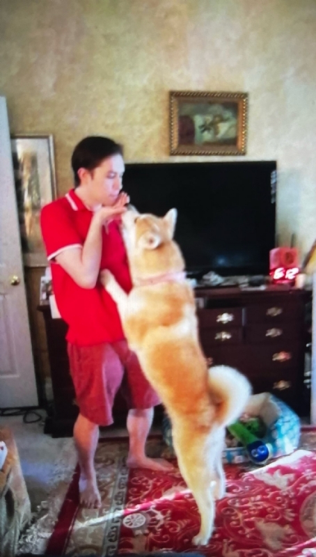 Leluch的第一张照片--衡阳相亲服务中心