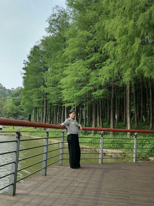 遗失的记忆的第二张照片--衡阳相亲服务中心