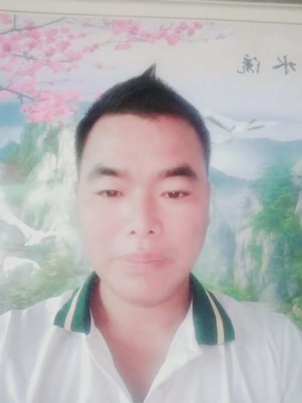 阳光男孩的第二张照片--衡阳相亲服务中心