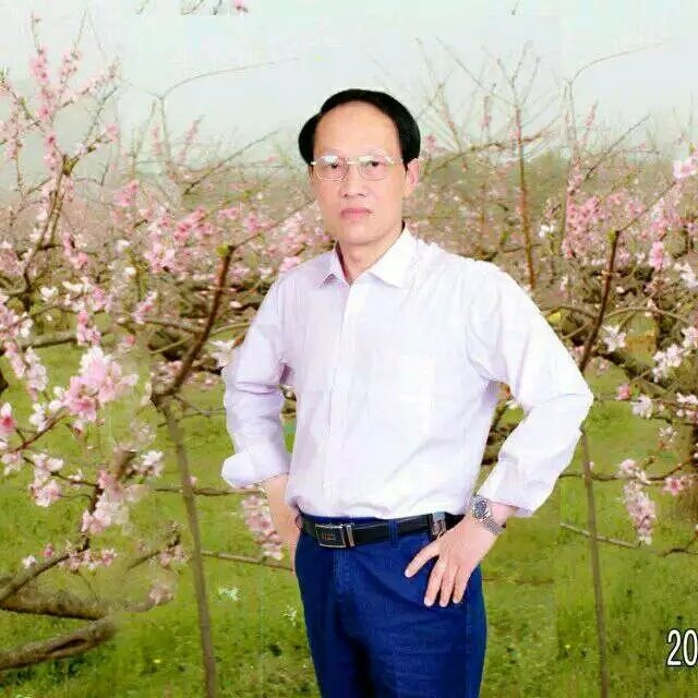 枫叶的第一张照片--衡阳相亲服务中心