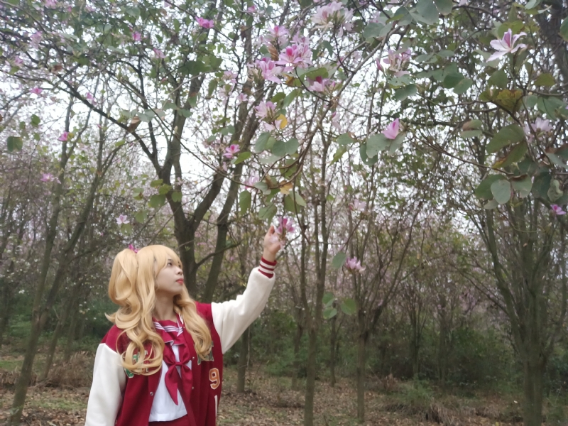 暮秋的第一张照片--衡阳相亲服务中心