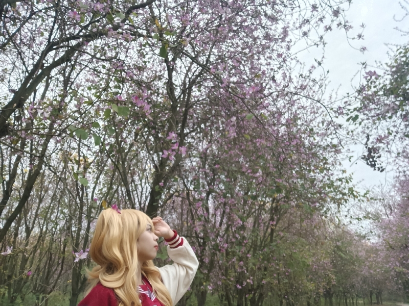 暮秋的第五张照片--衡阳相亲服务中心